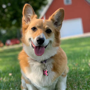 Meet your Posher, Jen